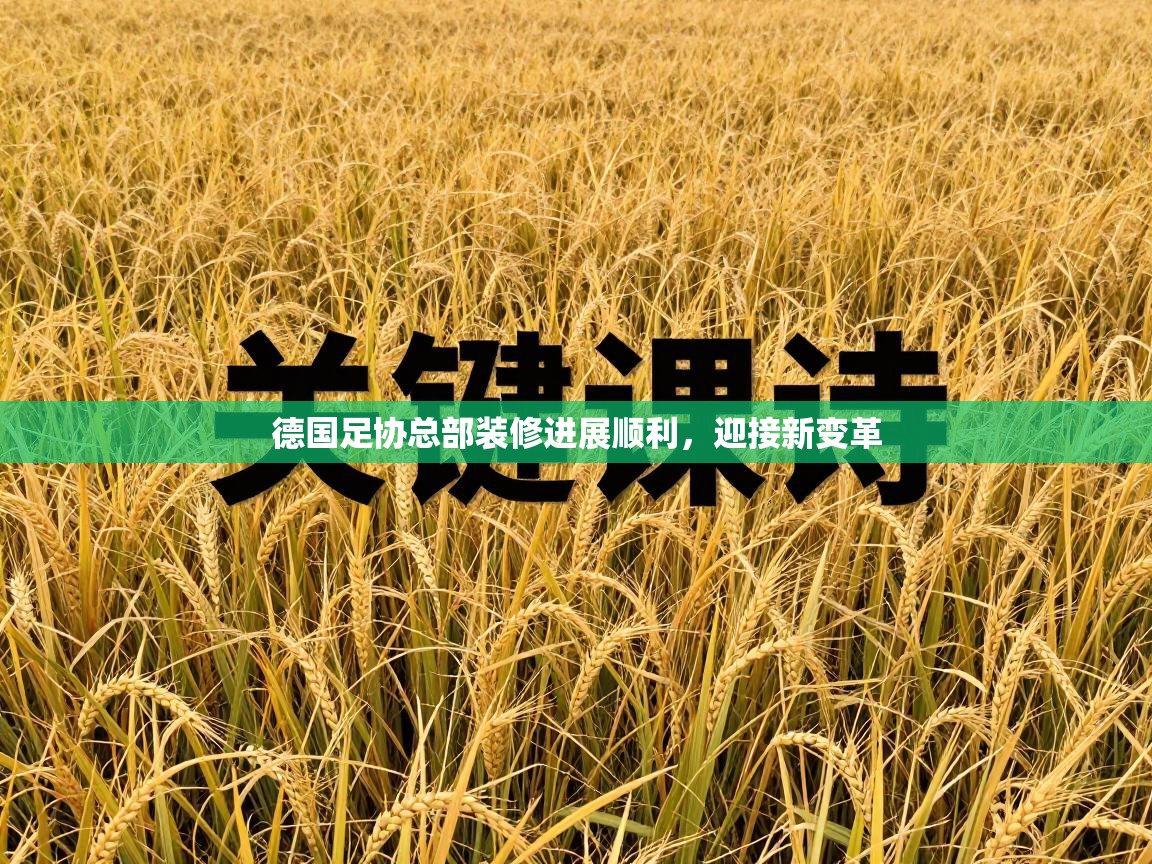 德国足协总部装修进展顺利，迎接新变革  第1张