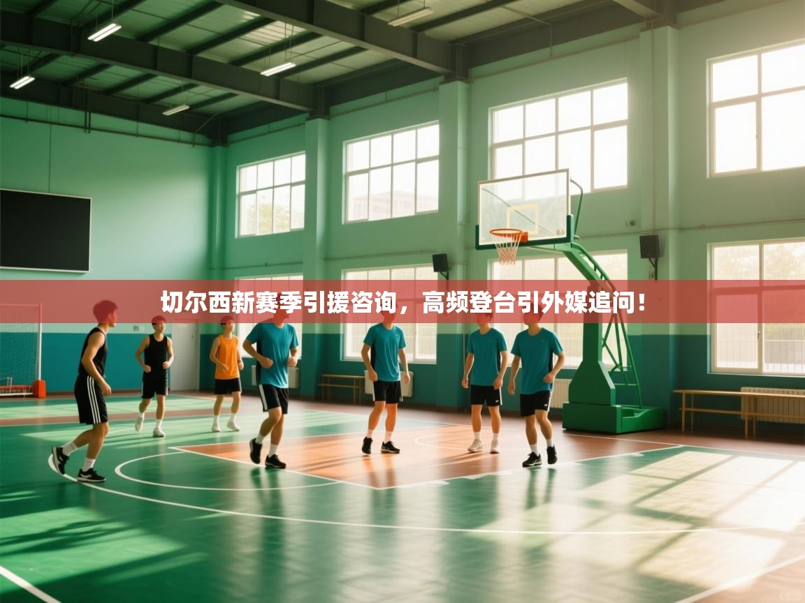 切尔西新赛季引援咨询，高频登台引外媒追问！  第1张