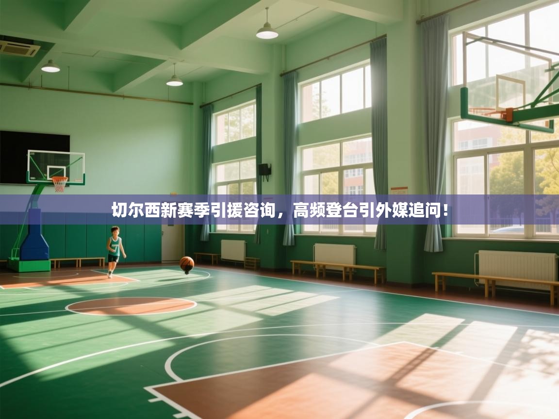 切尔西新赛季引援咨询，高频登台引外媒追问！  第2张