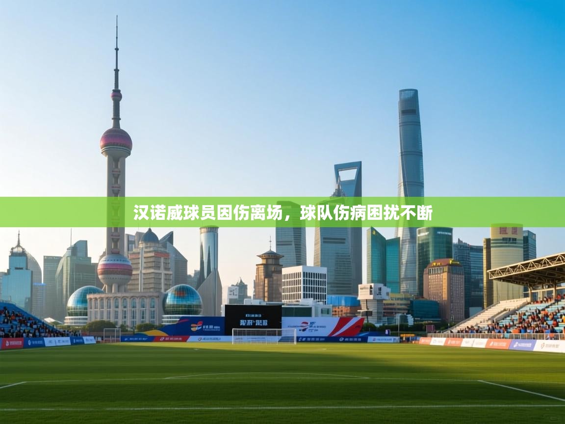 汉诺威球员因伤离场，球队伤病困扰不断  第2张