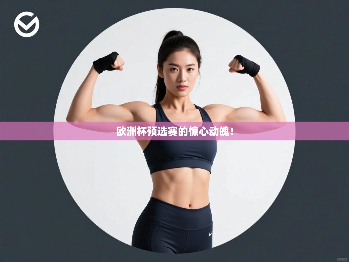 欧洲杯预选赛的惊心动魄! 第1张