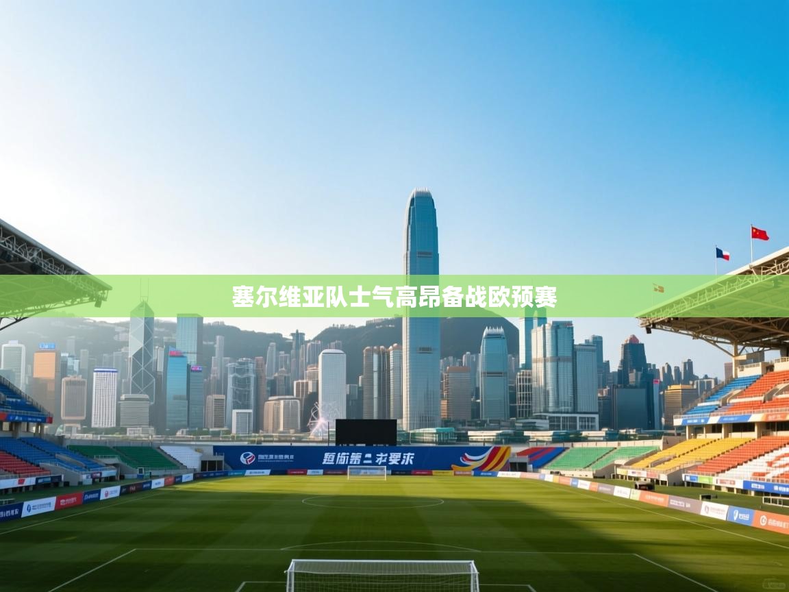 塞尔维亚队士气高昂备战欧预赛 第1张