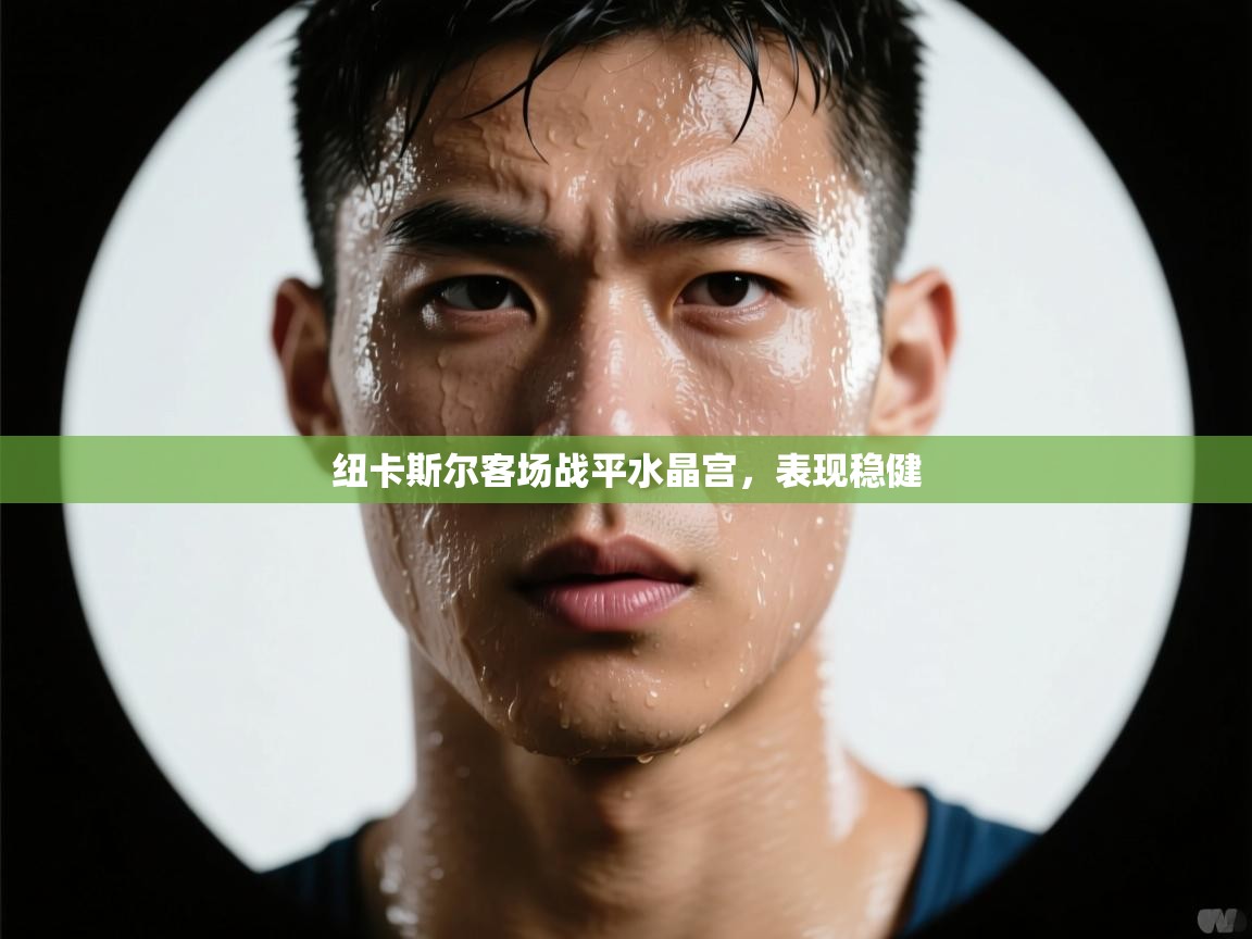 纽卡斯尔客场战平水晶宫，表现稳健  第1张